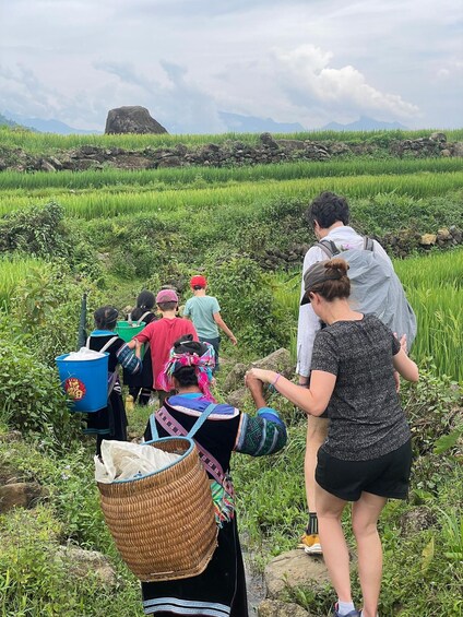 A group of people walking through a rice field with a large rock in the background. 3