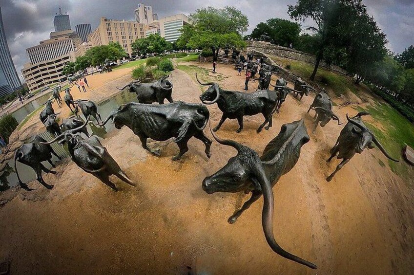 From Dallas: City Architecture & JFK Museum Highlights Tour 3