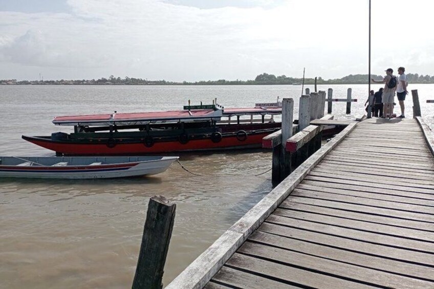 Sunset and Dolphin Tour Suriname 2