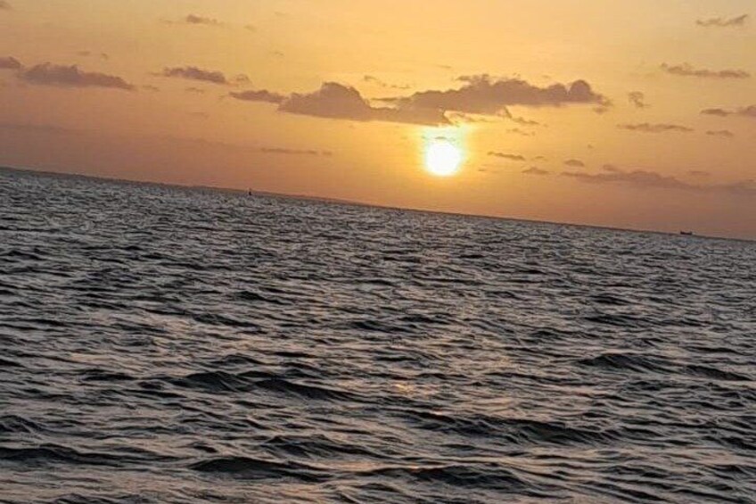 Sunset and Dolphin Tour Suriname 3
