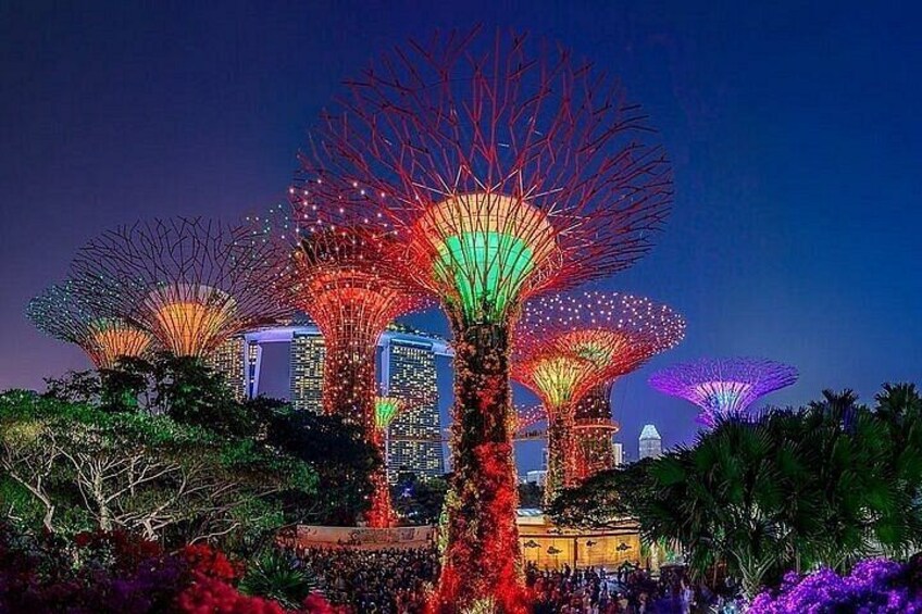 Singapore Gardens by the Bay Admission Tickets with options 2
