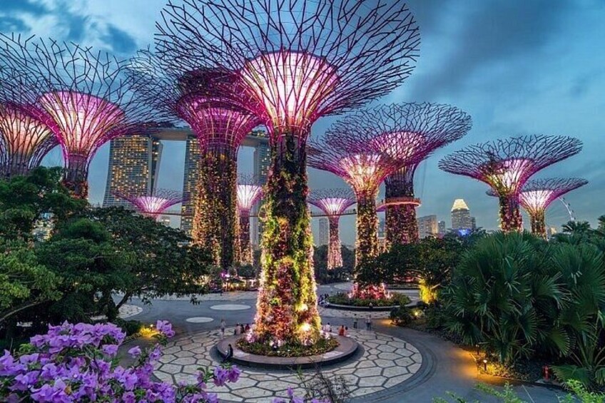 Singapore Gardens by the Bay Admission Tickets with options 1