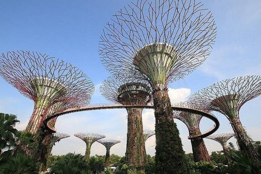 Singapore Gardens by the Bay Admission Tickets with options 5