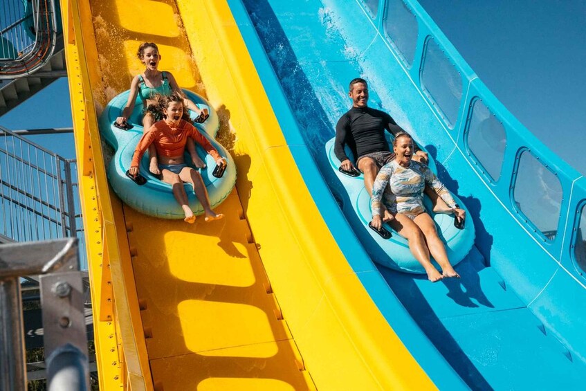 Picture 3 for Activity Gold Coast: 5-Day Theme Park Pass & Sea World Cruise 2