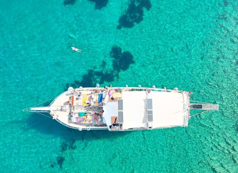 Picture 6 for Activity Bodrum: Orak Island and Meteor Bay Boat Tour with Lunch 4
