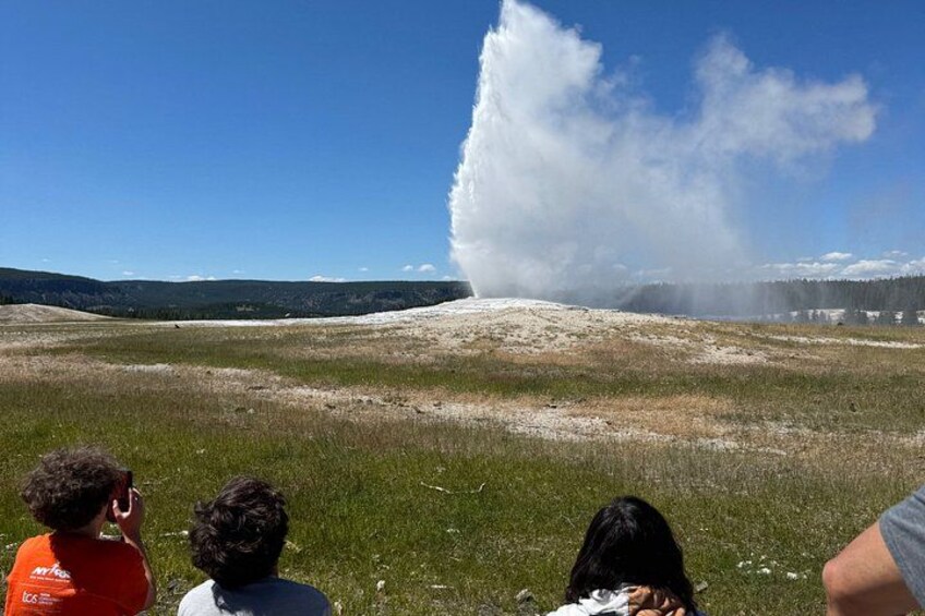 Ein Geysir bricht in einem grasbewachsen Feld unter blauem Himmel aus. 1