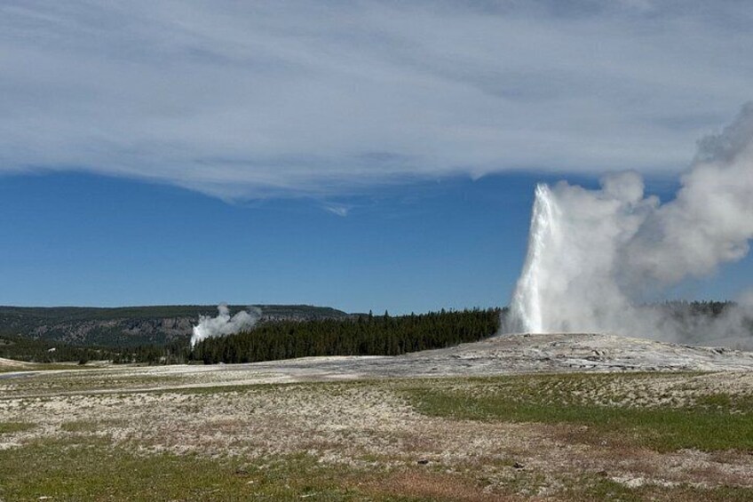 A geyser erupting in a grassy field with a forested mountain in the background. 4