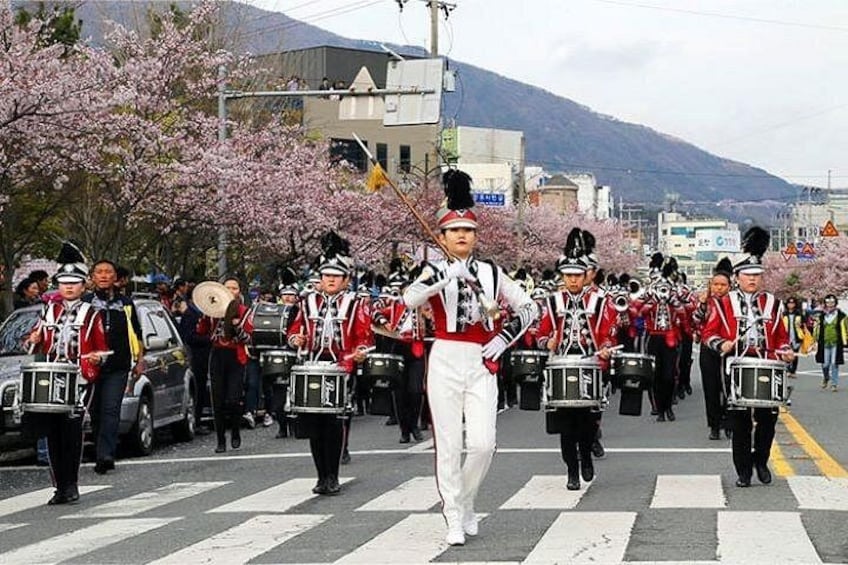 A marching band in uniform, crossing a street with cherry blossoms in the background. 1