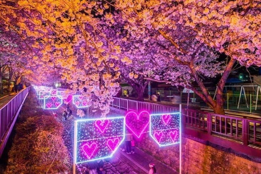 Cherry blossoms, illuminated heart-shaped signs, and a bridge. 2