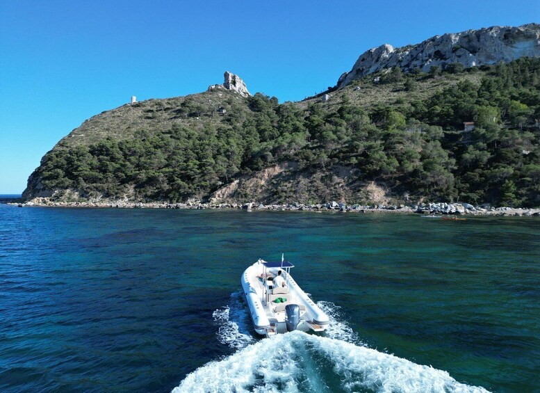 A boat moving through clear blue water towards a rocky island with dense green trees. 2