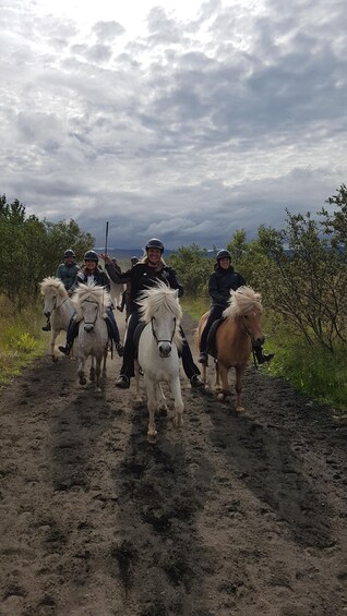 A group of people riding horses on a dirt path surrounded by greenery. 2