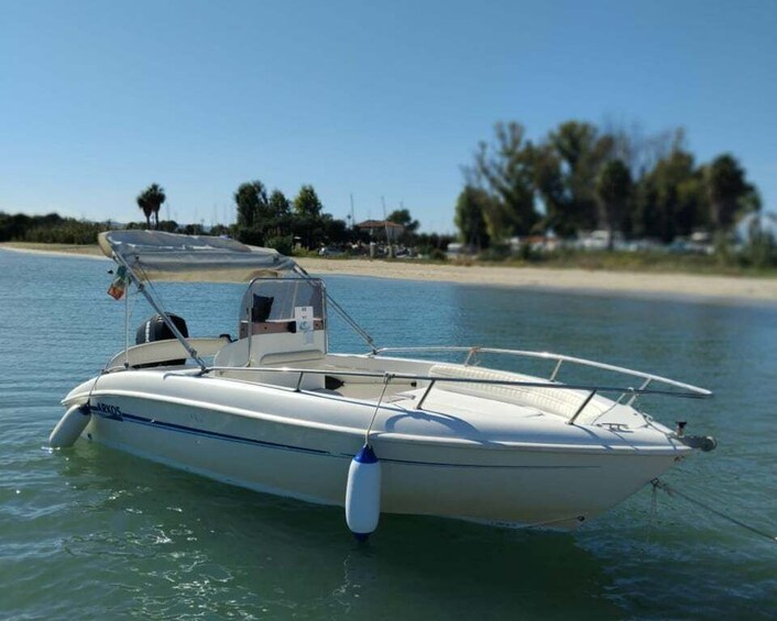 A white motorboat with a canopy, anchored near a sandy beach with palm trees in the background. 2