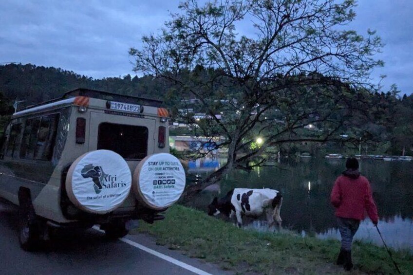 Un autobus arborant une enseigne indiquant des excursions d’observation de la faune sauvage était stationné au bord d’un lac. 3