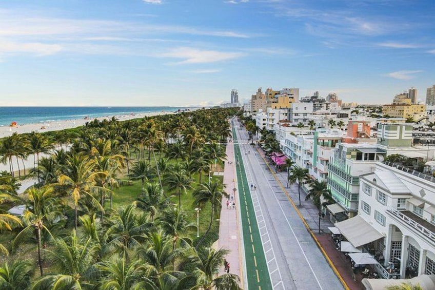 Private Half Day Sightseeing and Food Tour in Miami With Driver 3