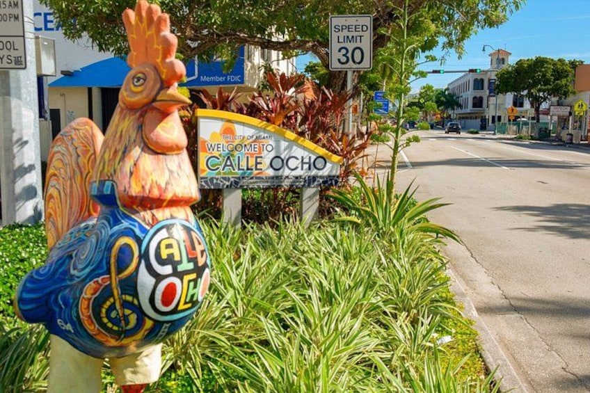 Private Half Day Sightseeing and Food Tour in Miami With Driver 2