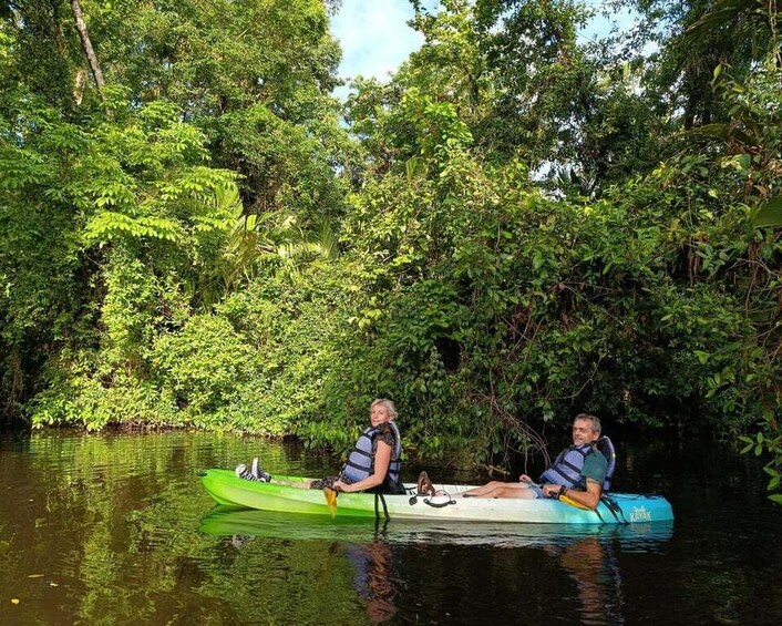 Two people kayaking on a river surrounded by dense greenery. 2