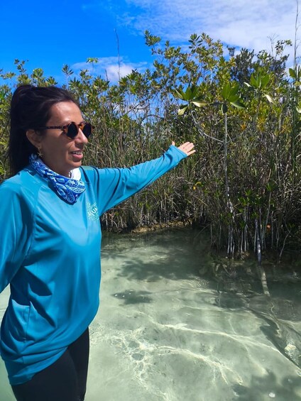 A person in a blue shirt pointing at mangrove trees by a clear water body. 2