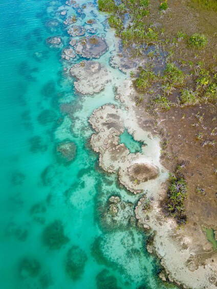 Picture 34 for Activity Sail for 4 hours in Bacalar's most SECRET spot 2