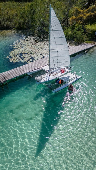 A sailboat with a person on board, docked at a pier with lily pads in the water. 1