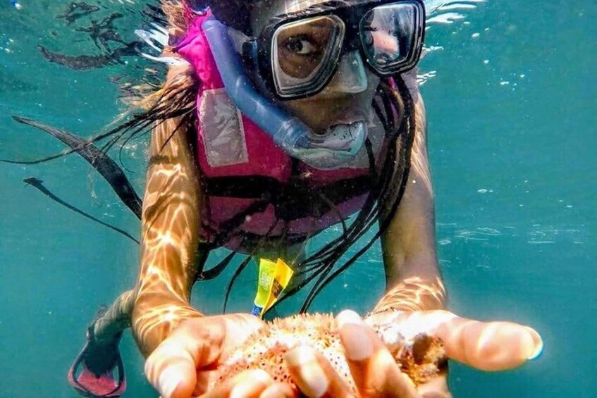 Picture 1 for Activity -Acapulco: Beach Break Experience with Snorkeling and Lunch 3