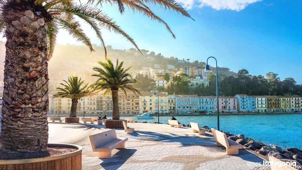 A coastal promenade with palm trees, benches, and colorful buildings in the background. 2