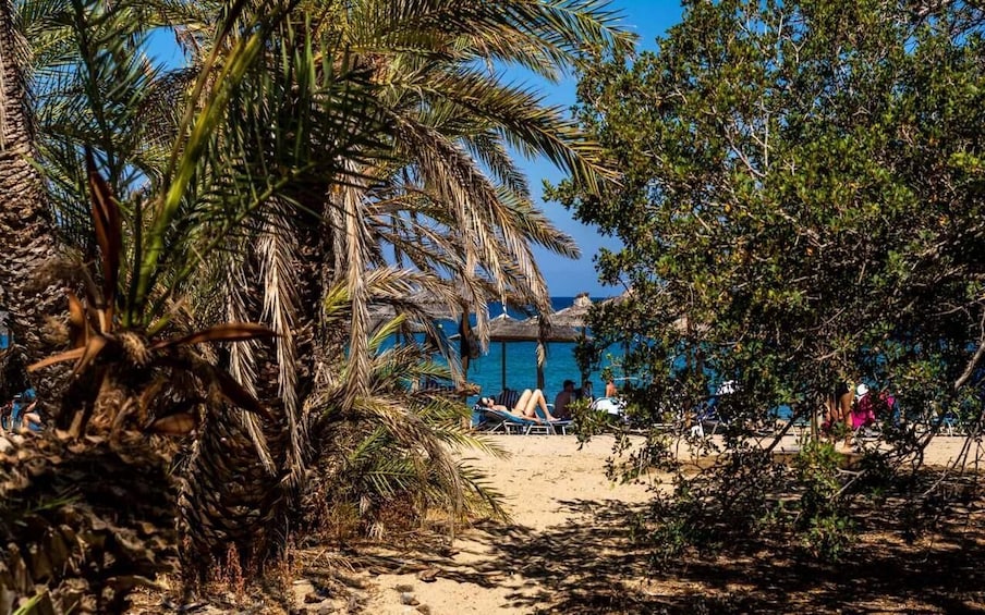 A beach with palm trees, a thatched-roof hut, and people relaxing on sun loungers. 5