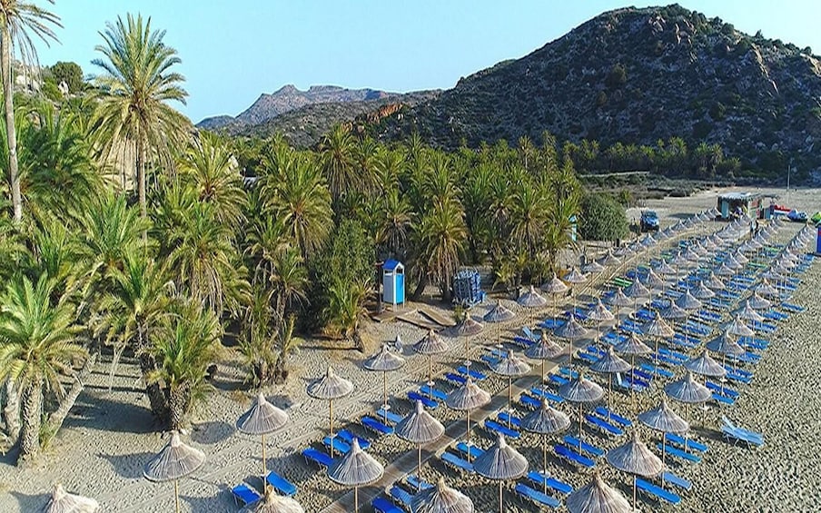 A beach with rows of blue lounge chairs and straw umbrellas, palm trees, and a mountainous backdrop. 4