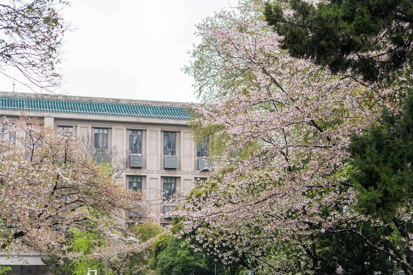 Picture 36 for Activity Luojia Moments: A Classic Walking Tour of Wuhan University 2