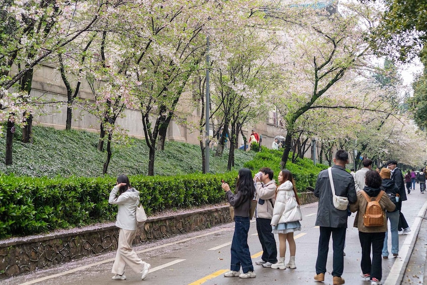 Picture 3 for Activity Luojia Moments: A Classic Walking Tour of Wuhan University 1