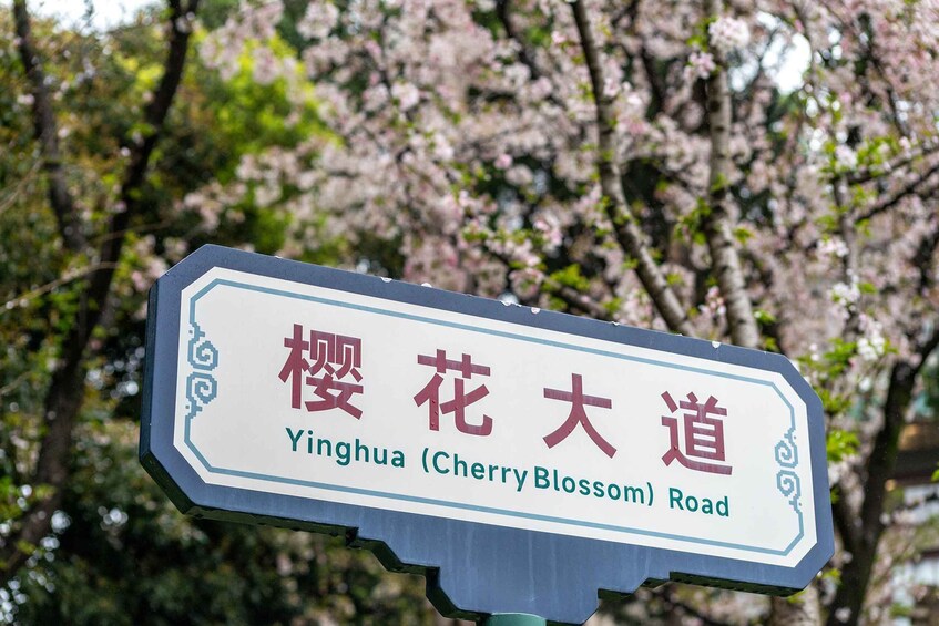 Picture 45 for Activity Luojia Moments: A Classic Walking Tour of Wuhan University 4
