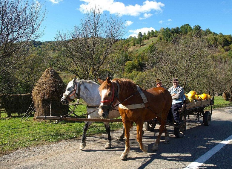 Picture 5 for Activity From Cluj-Napoca: Maramureș 3-Day Tour with Accommodation 2