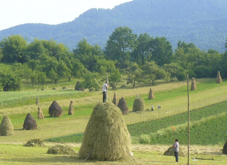 From Cluj-Napoca: Maramureș 3-Day Tour with Accommodation 1