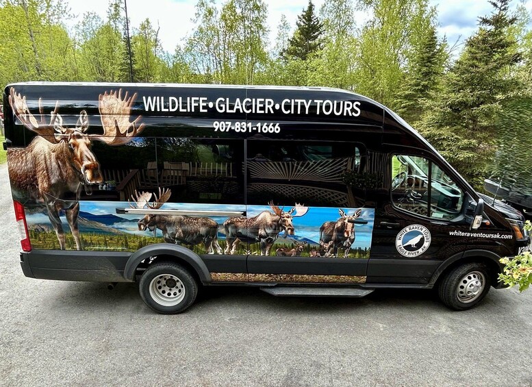 A black van with wildlife and glacier city tours decals, parked on a road with trees in the background. 1