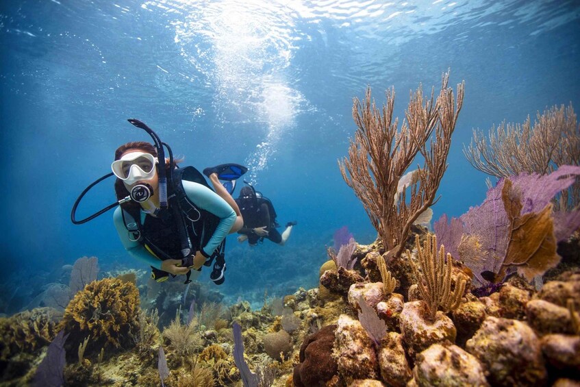 Two scuba divers underwater with coral reefs and marine life. 5