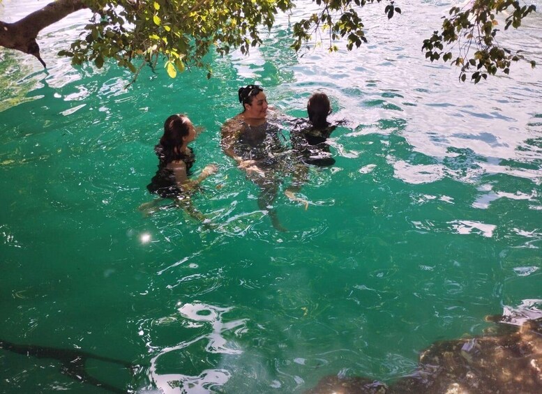 Three people swimming in clear green water under a tree. 5