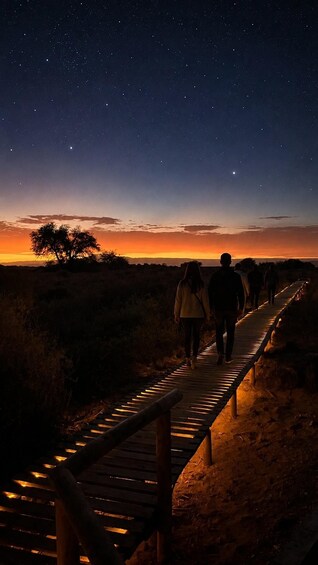 A nighttime scene with a starry sky, a sunset, and a paved path with lights. 5