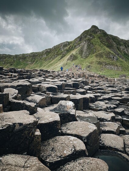 From Belfast: Giants Causeway and Belfast Black Taxi Tour 1
