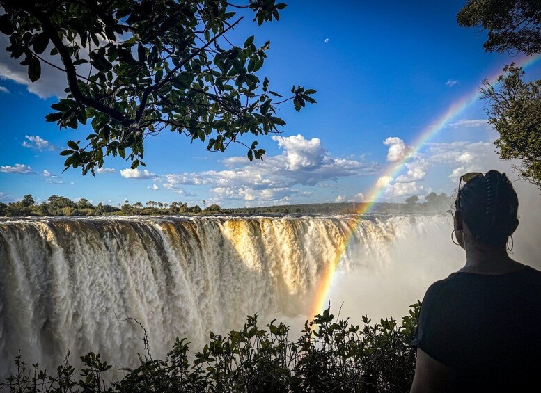 Picture 1 for Activity Victoria Falls: Guided Tour of the Victoria Falls 2