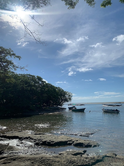 A calm river with boats, a rocky shoreline, and a dense tree line under a clear sky. 2