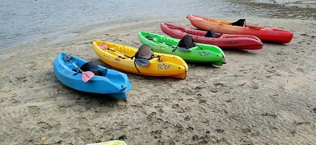 A row of colorful kayaks lined up on a sandy beach. 3