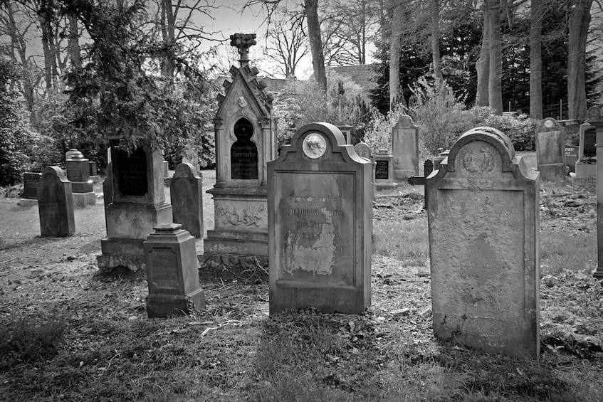 A cemetery with various tombstones and headstones, surrounded by trees. 5