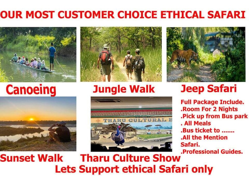 A canoeing activity on a river, a jungle walk, a jeep safari, a sunset walk, and a Tharu culture show. 1