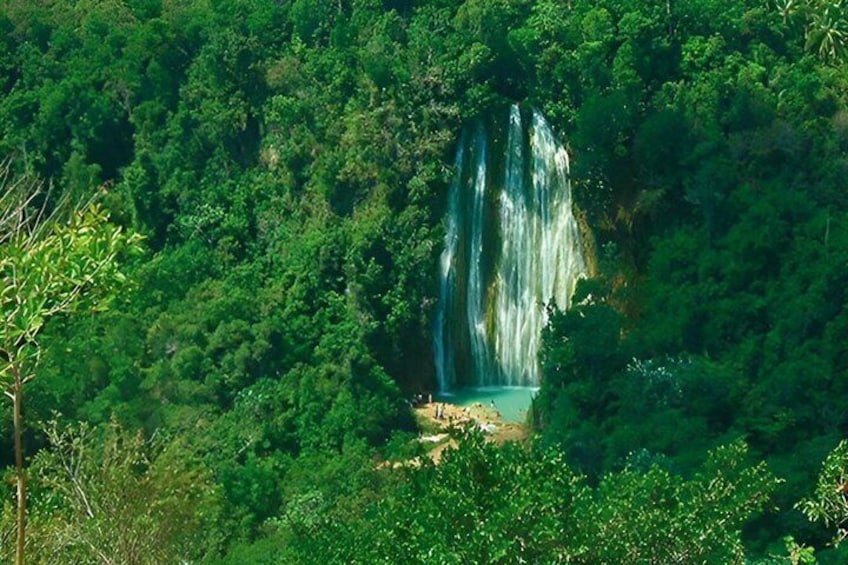 Een waterval omgeven door dicht groen bos. 2