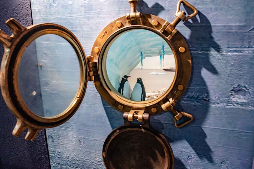 Picture 17 for Activity Interactive Photo-Museum of Antarctica with Virtual Reality 5