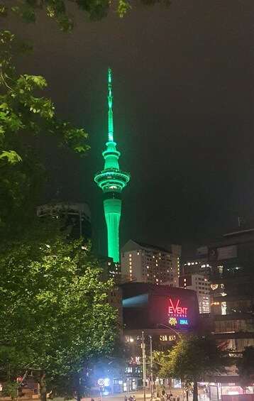 Picture 1 for Activity Auckland: Auckland City Tour 4 hours private 3