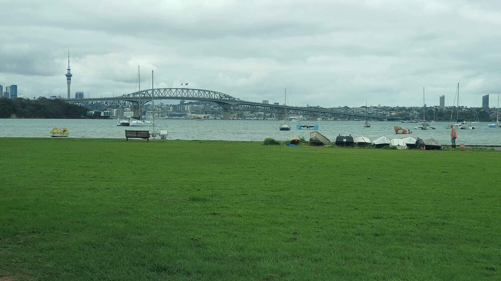 Picture 2 for Activity Auckland: Auckland City Tour 4 hours private 2