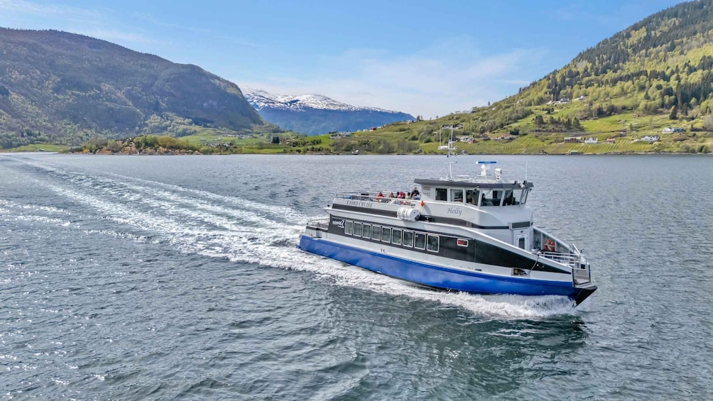 Picture 6 for Activity Sogndal: Viking Battle Cruise Sogndal-Fimreite-Sogndal 5