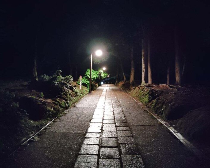 Picture 5 for Activity Nara: Night Walking Guided Tour - Beauty in a Peaceful Night 2