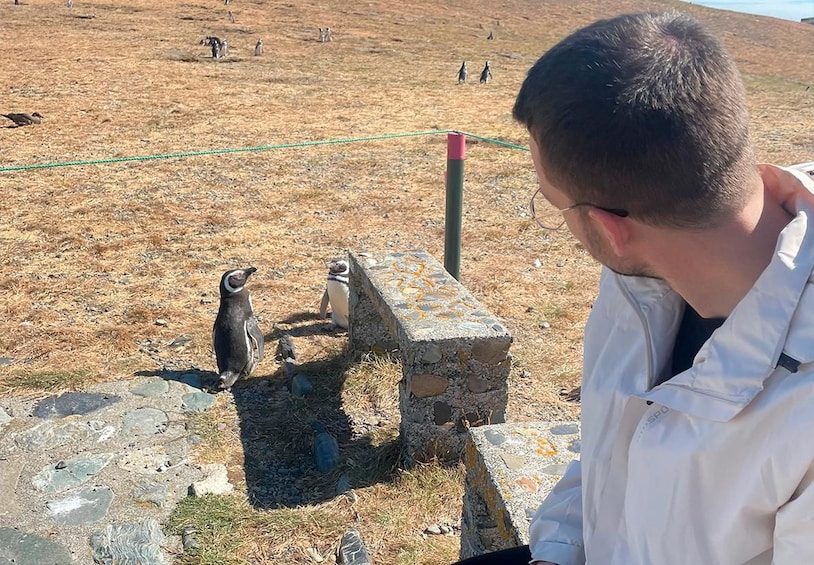 Picture 1 for Activity Punta Arenas: Boat Trip to Magdalena Island and Walk with Penguins 2