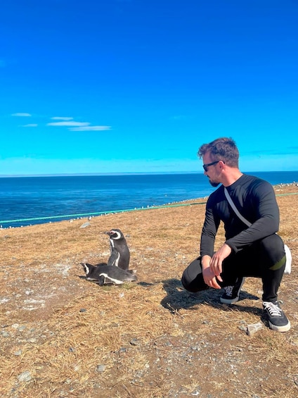Punta Arenas: Boat Trip to Magdalena Island and Walk with Penguins 1